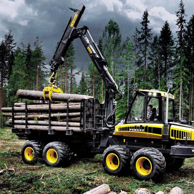 Forestal