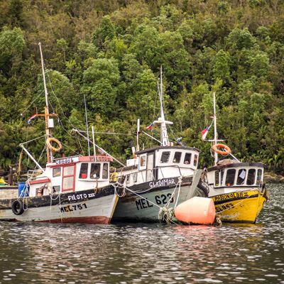 Pesca artesanal