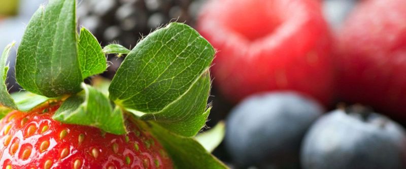 berries1