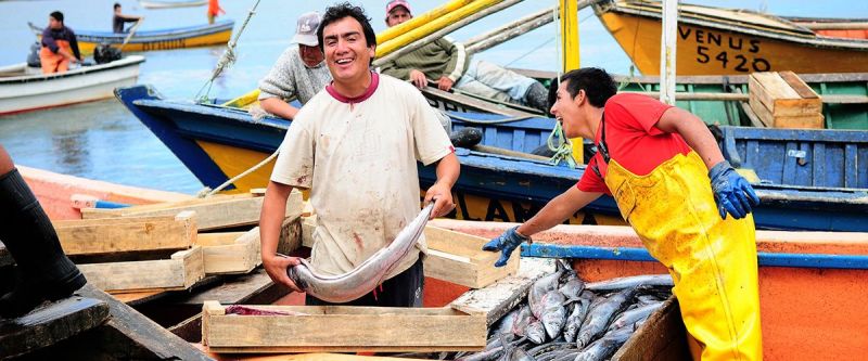 pesca2