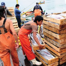 Pesca y Acuicultura